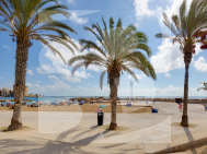 A · Segunda Mano TORREVIEJA · Centro