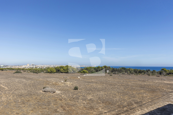 Apartamento - Segunda Mano - TORREVIEJA - Rocio del Mar