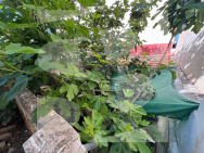 A · Segunda Mano Benejúzar