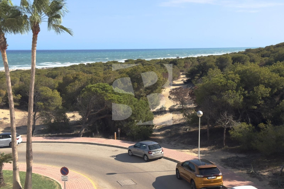  - La Revente - Guardamar del Segura - Urbanizaciones