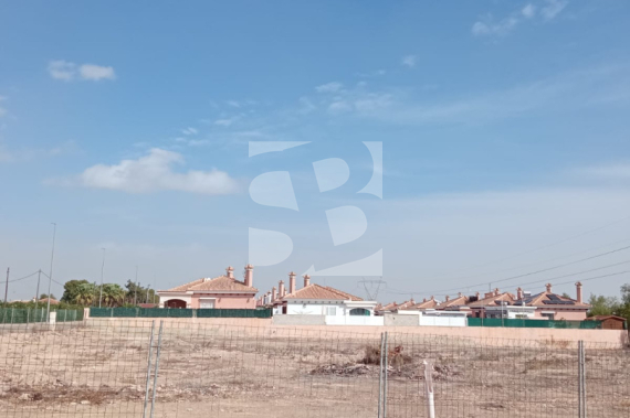  - Segunda Mano - Los Montesinos - La Herrada