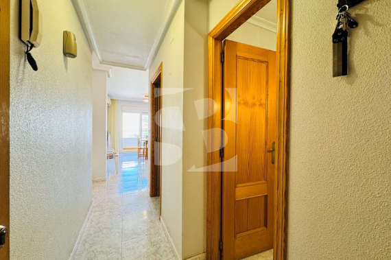 Apartamento - Segunda Mano - La Mata - La Mata