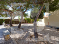 A · Odsprzedaż TORREVIEJA · San Luis