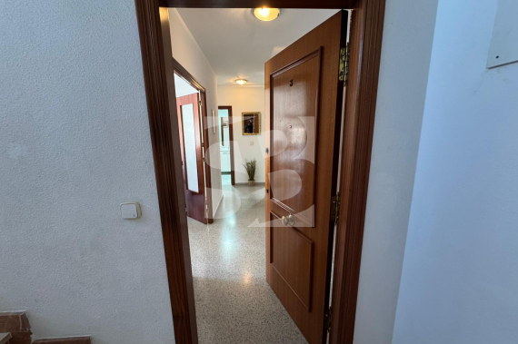 A - Resale - SAN MIGUEL DE SALINAS - San Miguel De Salinas