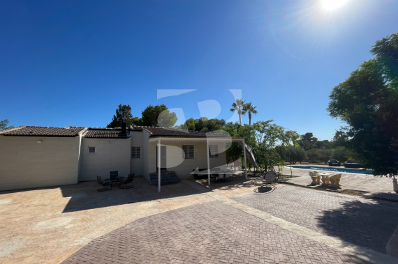  - La Revente - Elche - Elche