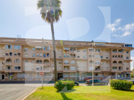 p · Segunda Mano TORREVIEJA · Parque las naciones