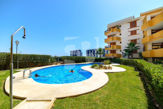 Apartamento - Segunda Mano - TORREVIEJA - Punta Prima
