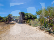 A · Odsprzedaż Guardamar del Segura · Pinomar