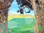 Apartamento · Segunda Mano TORREVIEJA · Rocio del Mar