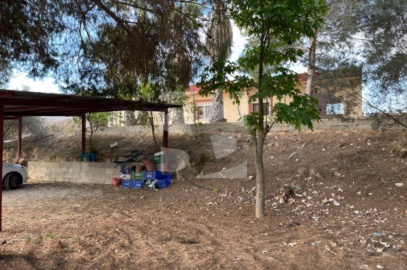  - La Revente - Jacarilla - Jacarilla