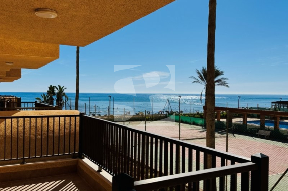 Apartamento - Segunda Mano - La Mata - Los Europeos
