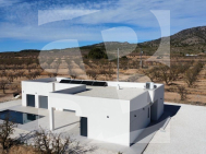 Villa · Nouvelle construction Pinoso · Lel
