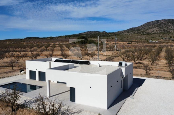 Villa - New Build - Pinoso - Lel