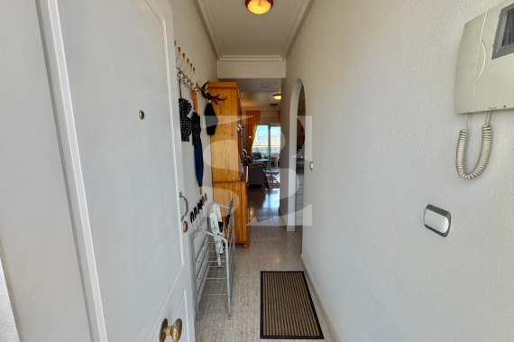 A - Segunda Mano - ALMORADÍ - Almoradi