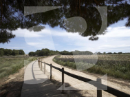 Bungalow · Nouvelle construction TORREVIEJA · Altos del Sol