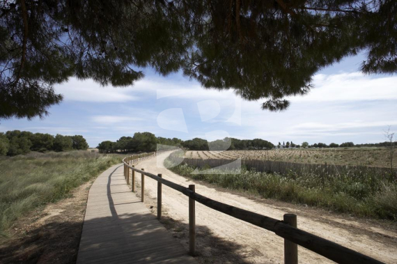 Bungalow - New Build - TORREVIEJA - Altos del Sol