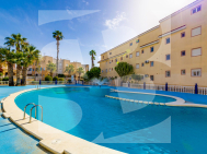 A · Odsprzedaż TORREVIEJA · San Luis