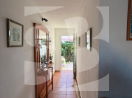 C · Segunda Mano TORREVIEJA · Los Balcones