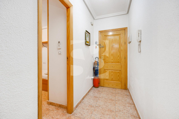 A - Segunda Mano - TORREVIEJA - Puerto deportivo marina salinas