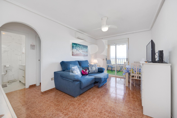 p - Segunda Mano - TORREVIEJA - Parque las naciones