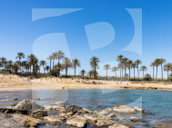B · Odsprzedaż TORREVIEJA · playa de los naufragos