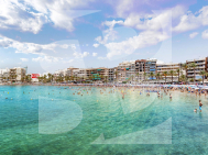 p · Segunda Mano TORREVIEJA · Parque las naciones