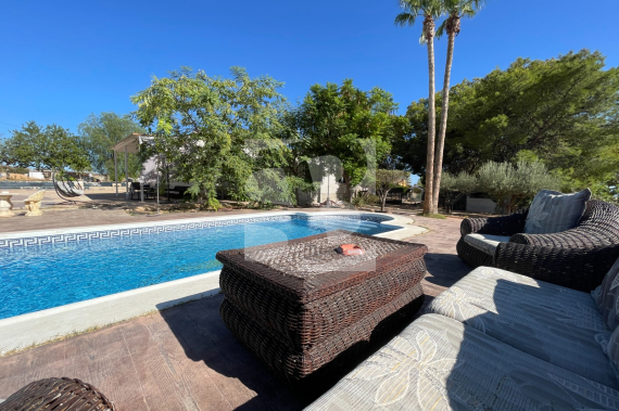  - La Revente - Elche - Elche