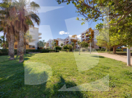 A · Segunda Mano TORREVIEJA · Punta Prima