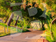 Villa · Obra Nueva PILAR DE LA HORADADA · Lo Romero Golf