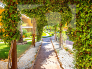 Apartamento · Segunda Mano TORREVIEJA · Punta Prima