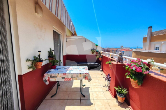 p - Продажа - TORREVIEJA - Playa Del Cura