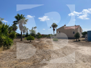  · Segunda Mano Benejuzar · Comunidad Valenciana