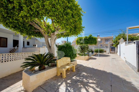 Bungalows Planta Baja - Segunda Mano - TORREVIEJA - Torrevieja
