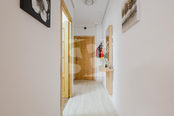 A - Segunda Mano - TORREVIEJA - Playa del Acequión