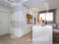 Semidetached · Obra Nueva SUCINA