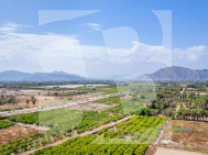 Apartment · New Build Jacarilla · pueblo