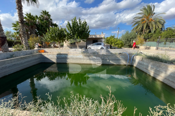  - Продажа - Crevillent - Crevillente