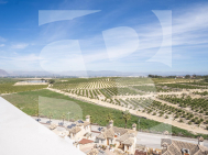 Villa · Nouvelle construction ALGORFA · La Finca Golf