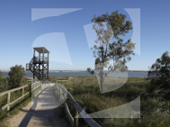 Appartement · Nouvelle construction SAN MIGUEL DE SALINAS · Pueblo