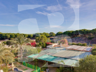 A · Odsprzedaż Guardamar del Segura · Pinomar