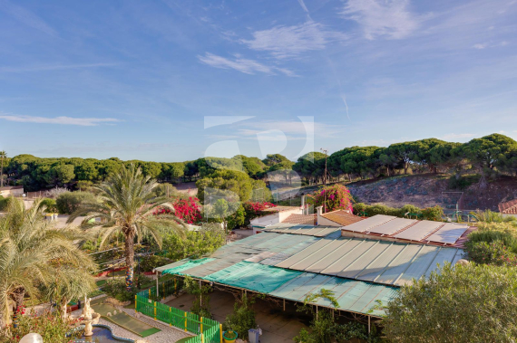 A - Odsprzedaż - Guardamar del Segura - Pinomar