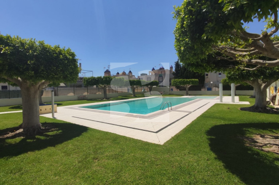 Дуплекс - Продажа - TORREVIEJA - Зона Карефур