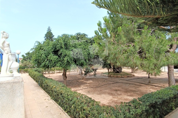 Row house - Resale - TORREVIEJA - Carrefour Area