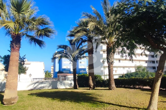 Студия - Продажа - TORREVIEJA - La Mata