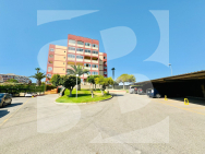 Apartment · Odsprzedaż TORREVIEJA · 