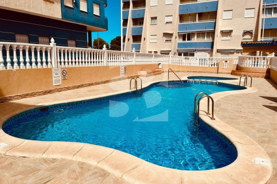 Apartamento - Segunda Mano - TORREVIEJA - La Mata Pueblo