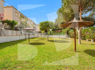 Apartamento · Segunda Mano TORREVIEJA · La Mata