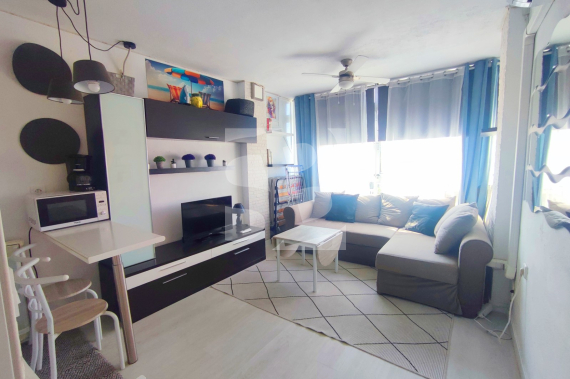 Studio - Resale - TORREVIEJA - La Mata