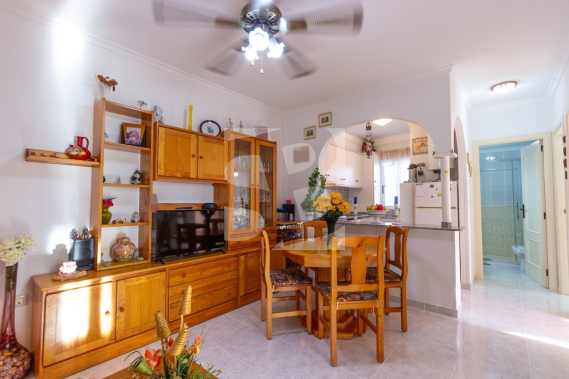 Bungalow - Odsprzedaż - TORREVIEJA - 