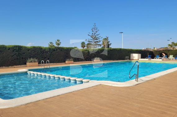 Смежный дом - Продажа - TORREVIEJA - Torreta-Florida